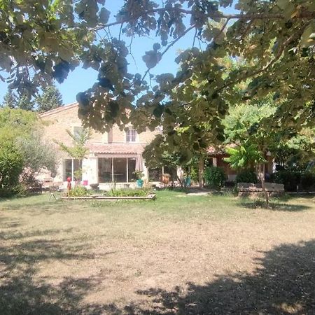לינה וארוחת בוקר אורנג' Domaine De La Violette מראה חיצוני תמונה
